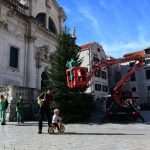 Christmas is Coming Decorations 5