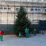 Christmas is Coming Decorations 7