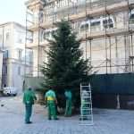 Christmas is Coming Decorations 8