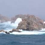 Jugo od the Loose 12