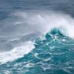 Jugo od the Loose 23