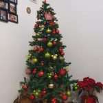 Merry Christmas With One Unique Photo Gallery! 14 Nativity Scenes From our Readers 13