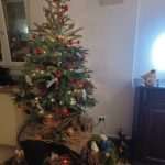 Merry Christmas With One Unique Photo Gallery! 16 Nativity Scenes From our Readers 15