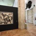 katarina ivanisin kardum Milan5