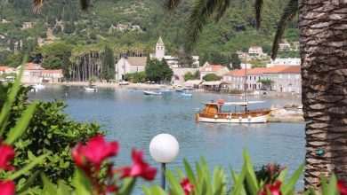 Lopud Island: Telegraph's Choice for One of Europe's Most Stunning Isles 1 lopud 55