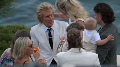 TOMORROW'S WEDDING OF THE YEAR! Rod Stewart Delights in the Palm Garden with His Daughter-in-Law and Grandchildren 5 wedding stewart