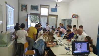 Festival znanosti Akvakultura 12