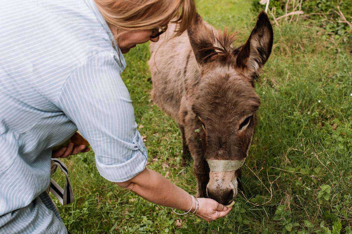Zupskipjat2025 LemonGardens ZeljkaMilicPhoto 11