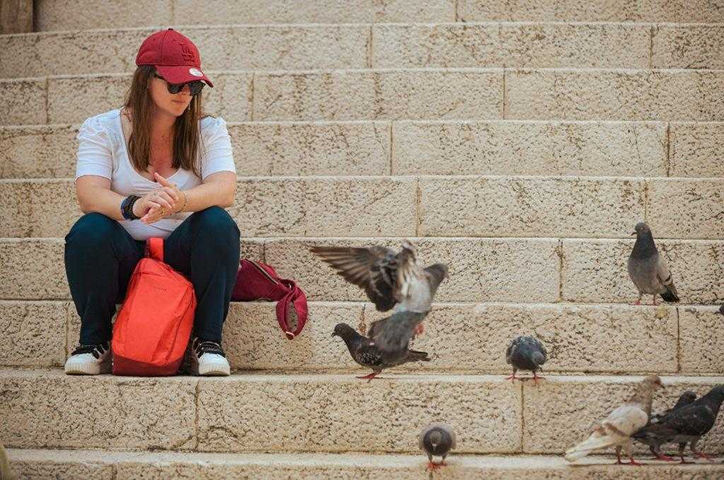 Dubrovnik’s Pigeons: The Noon Ritual That Still Belongs to the City 7 pigeons 1 1