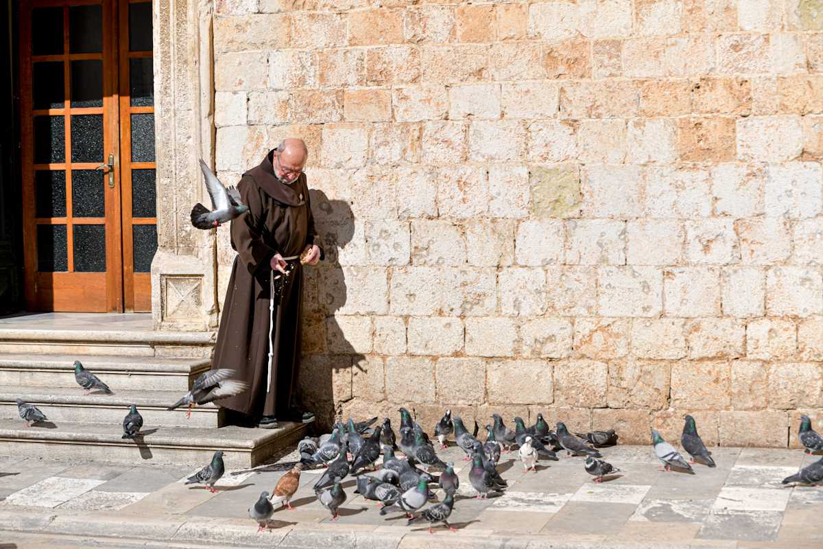 Dubrovnik’s Pigeons: The Noon Ritual That Still Belongs to the City 4 pigeons 7