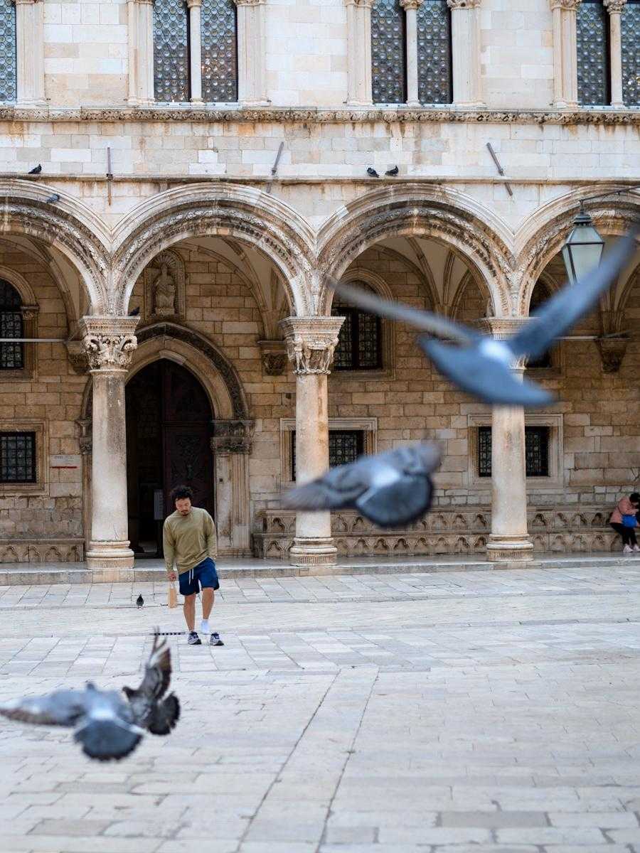 Dubrovnik’s Pigeons: The Noon Ritual That Still Belongs to the City 2 pigeons 8