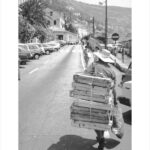 Pavo Urban’s Mediterraneanism Opens in Dubrovnik, Revealing the Photographer Before the War 9 PAVO URBAN 3